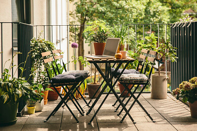 Balkon Web