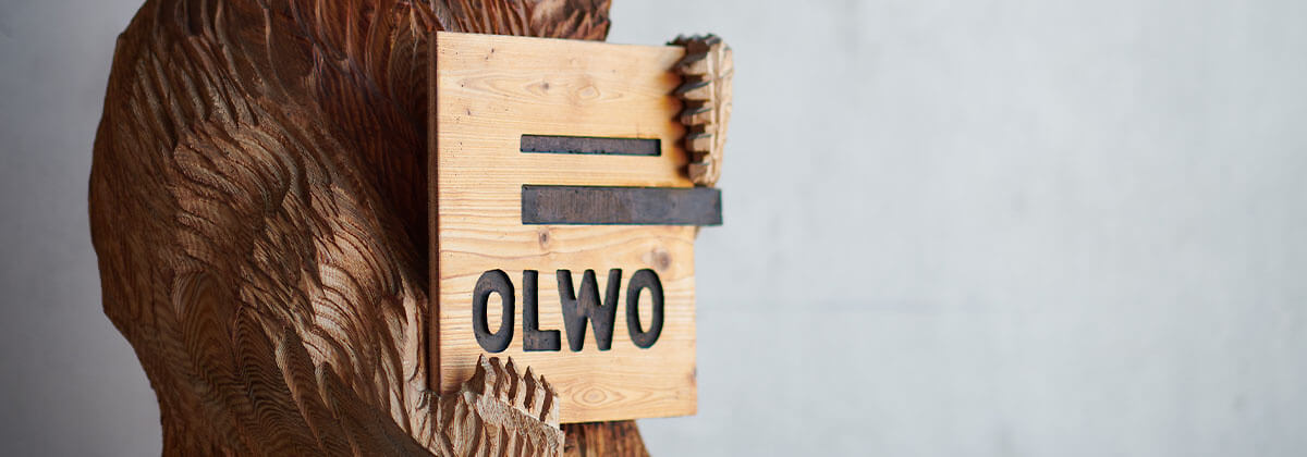 Türen vom Holzprofi aus der Region Bern - OLWO - Berner Drehscheibe für  bestes Holz - OLWO