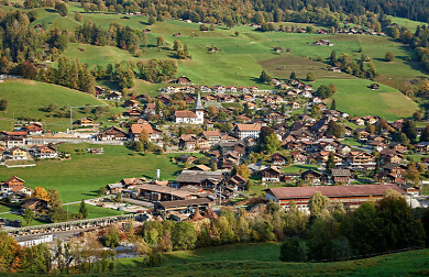 erlenbach Web