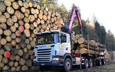 Lastwagen Rundholz