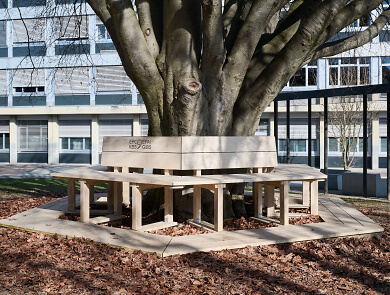 OLWO Accoya Sitzbank Fribourg 15