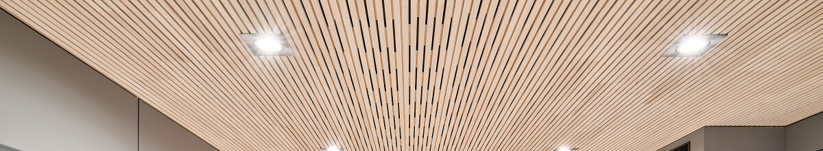 OLWO SonoS Akustiktaefer 08