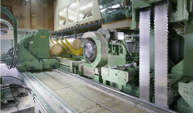 Starkholzanlage 2008
